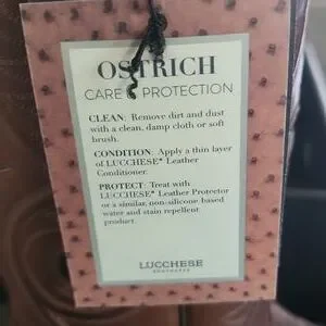Lucchese | Shoes | Lucchese Randall Color Sienna Brand New  display picture 1